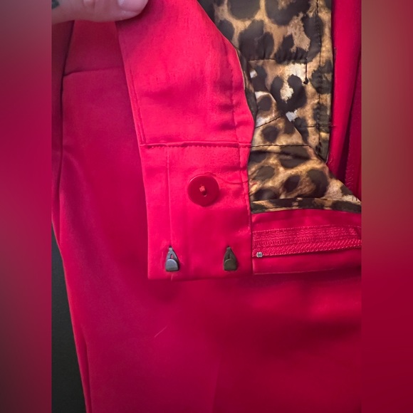 Express Design Studio Editor Pants - Picture 4 of 7